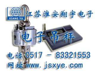 無(wú)線(xiàn)電子吊秤,無(wú)線(xiàn)吊秤,無(wú)線(xiàn)吊秤廠(chǎng)家,電子吊秤,電子吊秤廠(chǎng)家