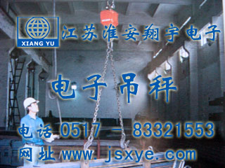 江蘇高鐵電子吊秤 -  電子吊秤廠家江蘇淮安翔宇電子吊秤案例