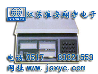電子秤_電子稱(chēng)重_XYES