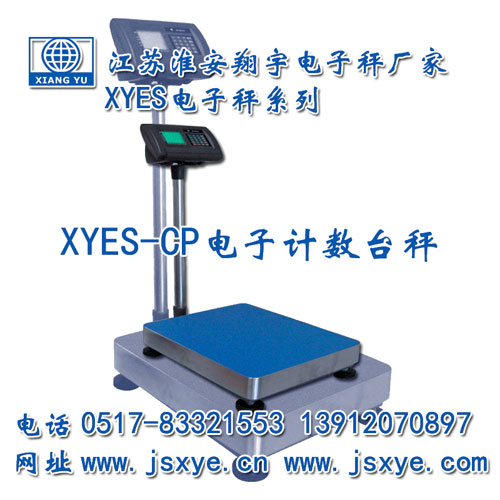 計數(shù)臺秤,計數(shù)臺秤廠家,臺秤,臺秤廠家,江蘇臺秤,淮安臺秤,XYES